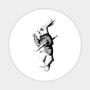 white rabbit alice in wonderland Magnet